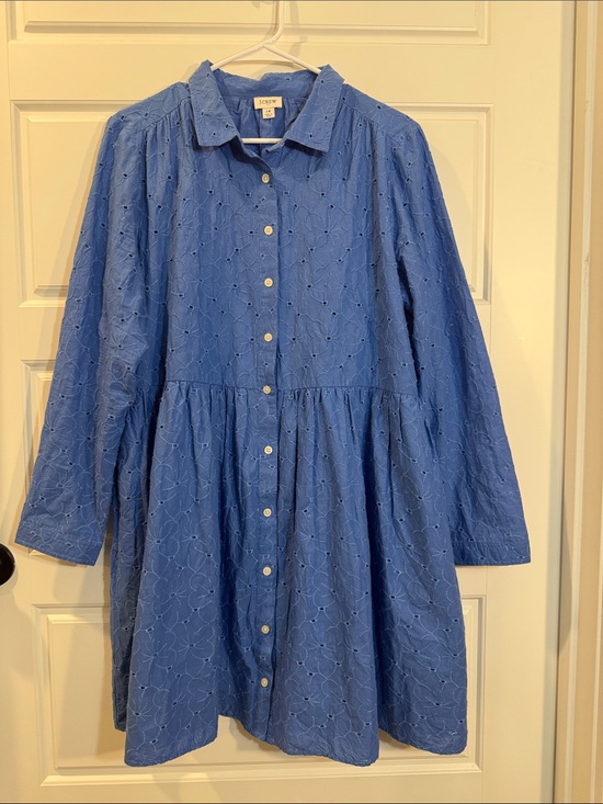 J. Crew Factory Dresses & Skirts - J.Crew Blue Eyelet Button Front Long Sleeve Mini Shirt Dress Size 14 Pockets